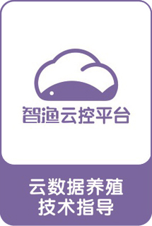 &#20896;&#20122;&#23448;&#26041;&#22312;&#32447;&#20837;&#21475;&#45;&#20896;&#20122;&#65288;&#20013;&#22269;&#65289;